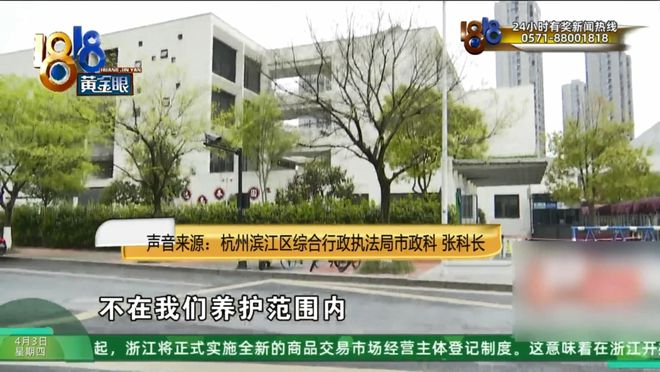 伤残十级，起诉三家都没告对：他们都在踢皮球