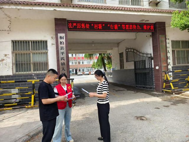 桐柏县平氏镇：常态化开展扫黑除恶 多部联动促“三零”