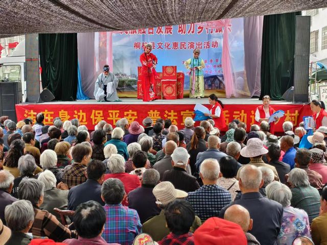桐柏县平氏镇：常态化开展扫黑除恶 多部联动促“三零”