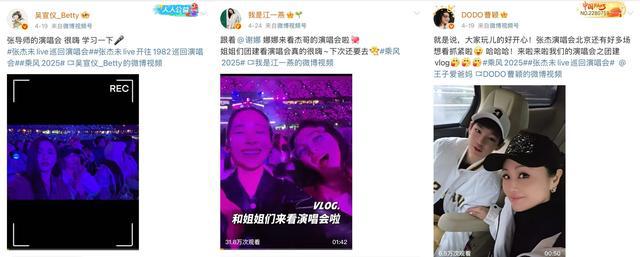 这些歌手的演唱会，观众席比舞台还热闹！