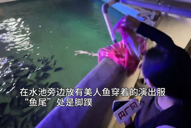 官方致歉！“美人鱼”演员溺水真实原因公布，太原海洋大世界已暂停营业