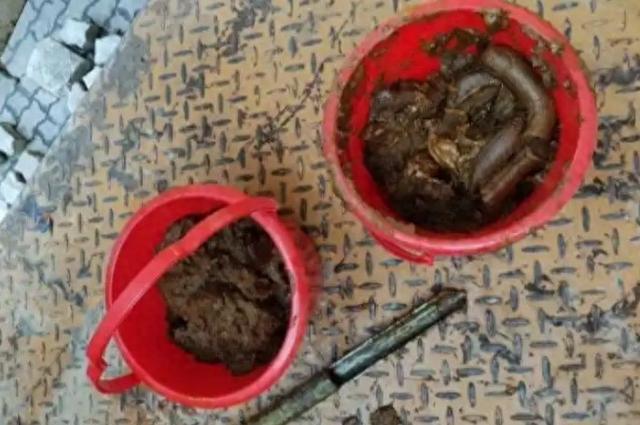 深圳海关查获20余吨粪便状洋垃圾,散发出强烈刺激性气味
