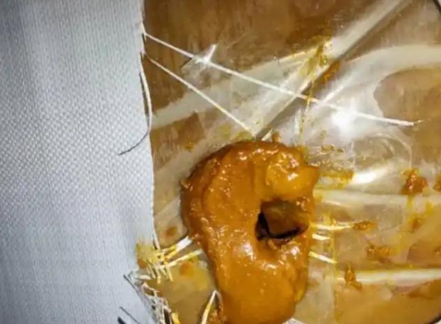 深圳海关查获20余吨粪便状洋垃圾,散发出强烈刺激性气味