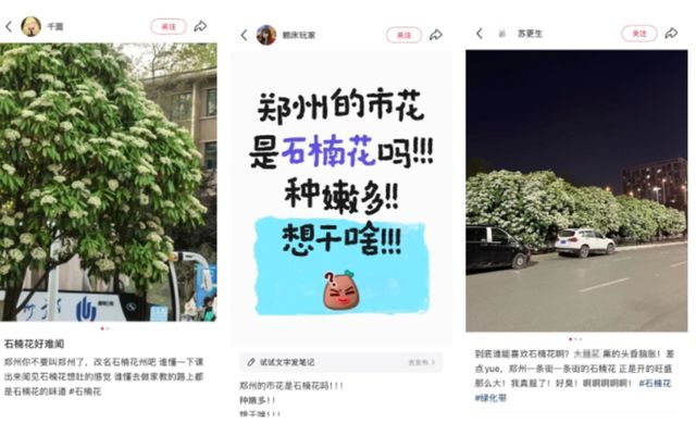 “四月限定香”又来了! 它的花语是“yue”，你闻到了吗？