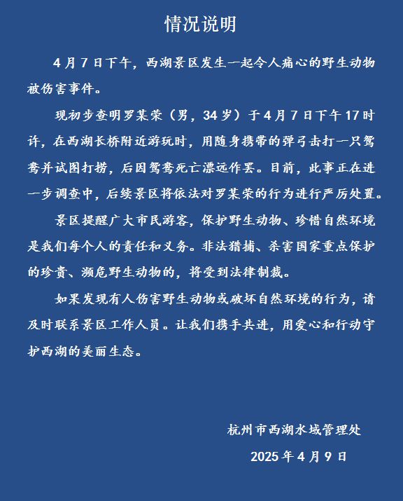 打死西湖鸳鸯的人找到了！杭州西湖景区通报