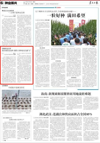 央媒看河南 | 关注河南主题活动、赏花经济等内容