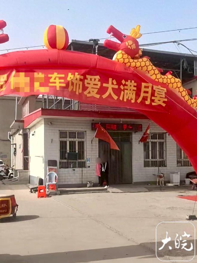 河北男子给狗狗办满月宴，男子的做法惹争议，男子有说法