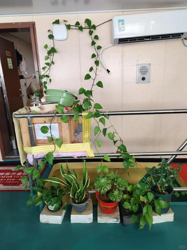 远洋船长被杀，其尸体被抛入大海，此案有新进展，还有细节曝出
