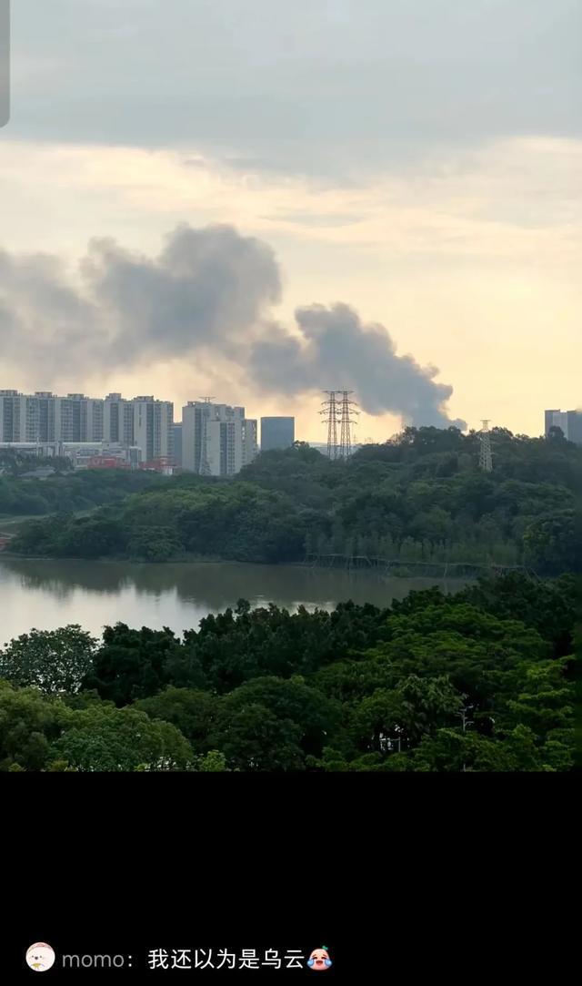 浓烟滚滚！“白云机场附近发生什么事”？广州消防通报