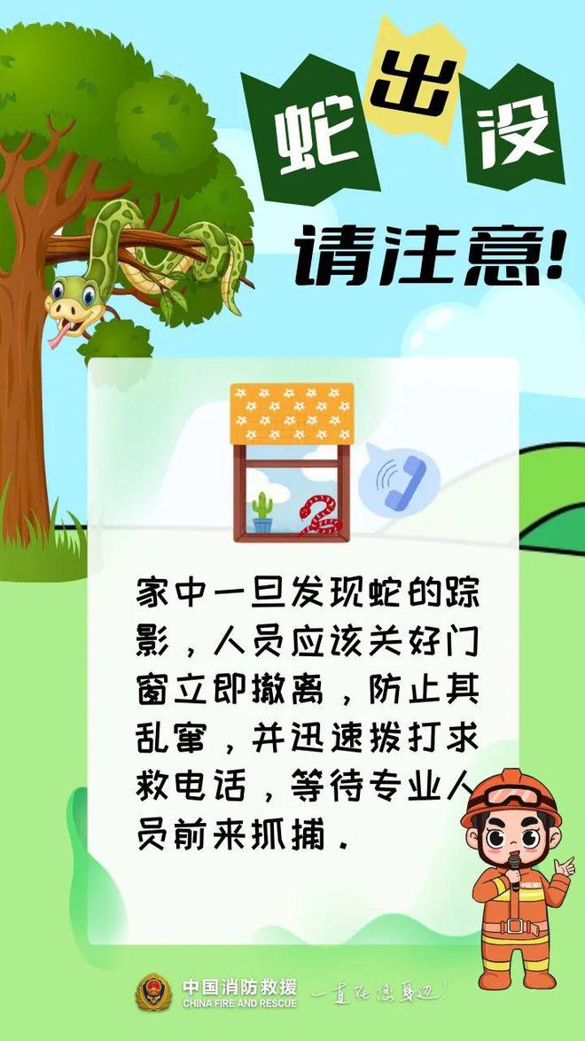 惊出一身冷汗！广东男子公园散步时碰到1米长眼镜蛇！紧急提醒