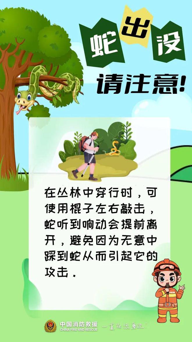 惊出一身冷汗！广东男子公园散步时碰到1米长眼镜蛇！紧急提醒