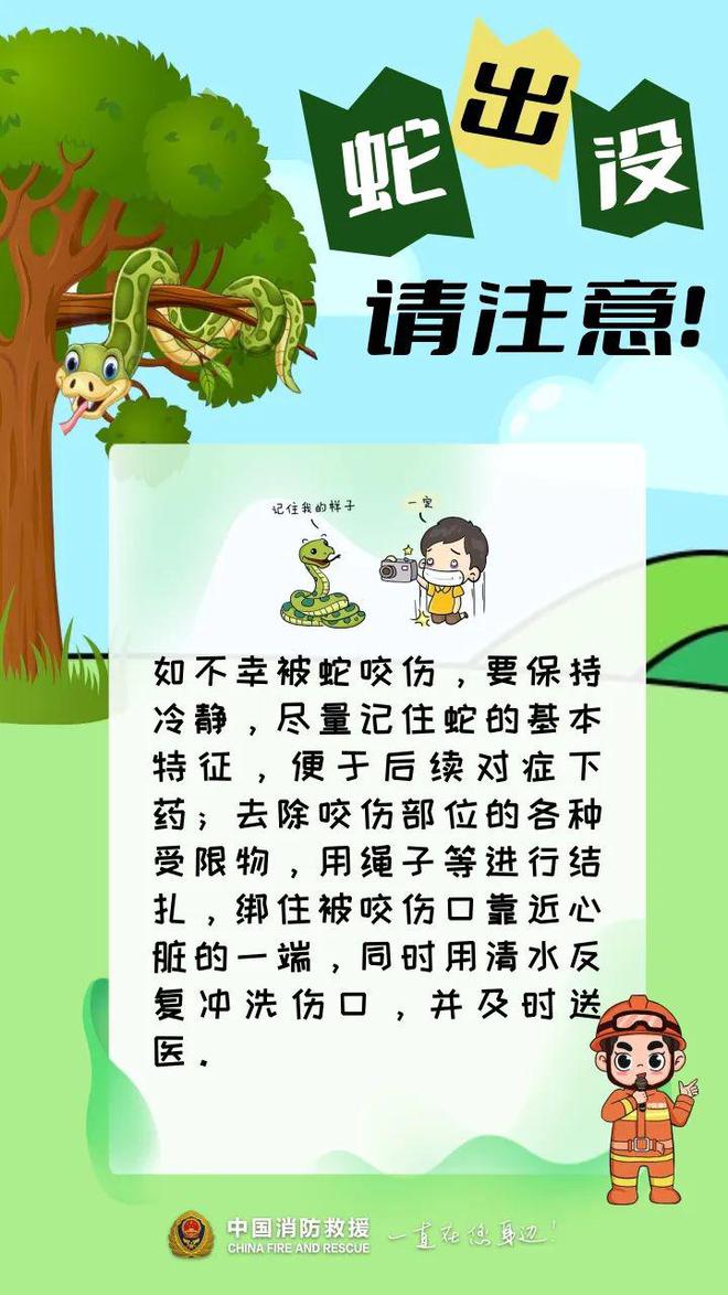 惊出一身冷汗！广东男子公园散步时碰到1米长眼镜蛇！紧急提醒