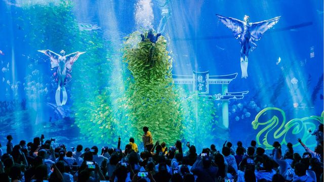 郑州海昌海洋公园打造多元假日狂欢体验引爆假期客流！