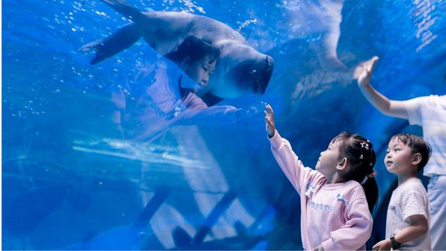 郑州海昌海洋公园打造多元假日狂欢体验引爆假期客流！