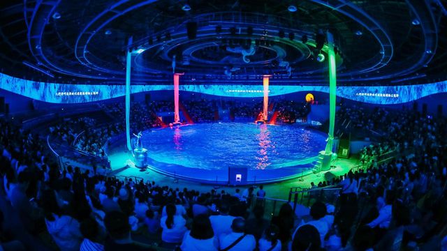 郑州海昌海洋公园打造多元假日狂欢体验引爆假期客流！