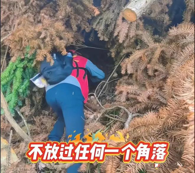 8岁福建男童已失联11天，男童不在山上？网友曝出的新情况很重要