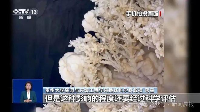 女子赤脚入4.8亿年溶洞“晶花池”拍照后续，当地：3个洞口全部焊死封堵